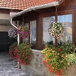 Apartamento Illa *
